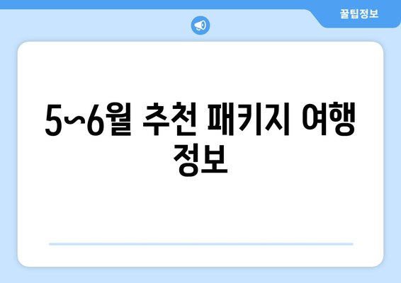 5~6월 추천 패키지 여행 정보