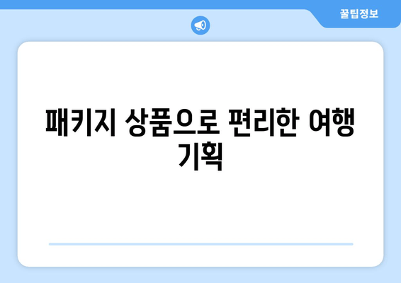 패키지 상품으로 편리한 여행 기획