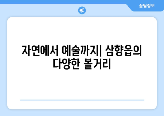 자연에서 예술까지| 삼향읍의 다양한 볼거리