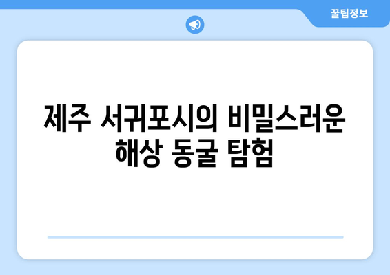 제주 서귀포시의 비밀스러운 해상 동굴 탐험