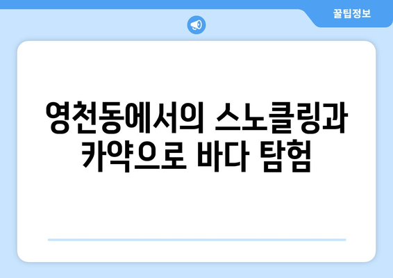 영천동에서의 스노클링과 카약으로 바다 탐험