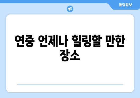 연중 언제나 힐링할 만한 장소