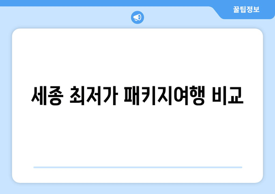 세종 최저가 패키지여행 비교