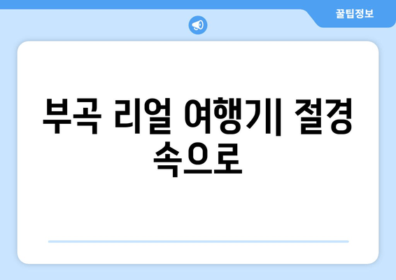 부곡 리얼 여행기| 절경 속으로