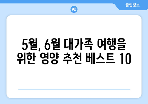 5월, 6월 대가족 여행을 위한 영양 추천 베스트 10