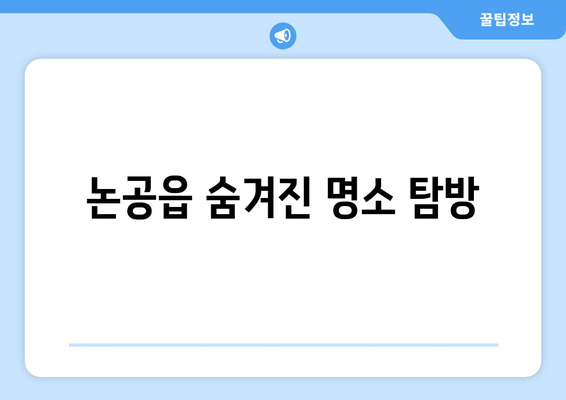 논공읍 숨겨진 명소 탐방