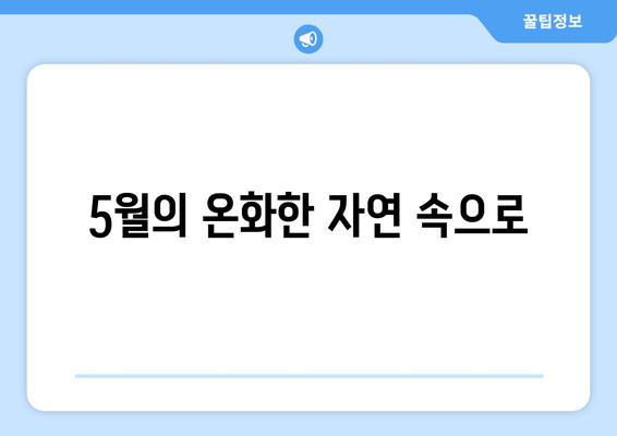 5월의 온화한 자연 속으로