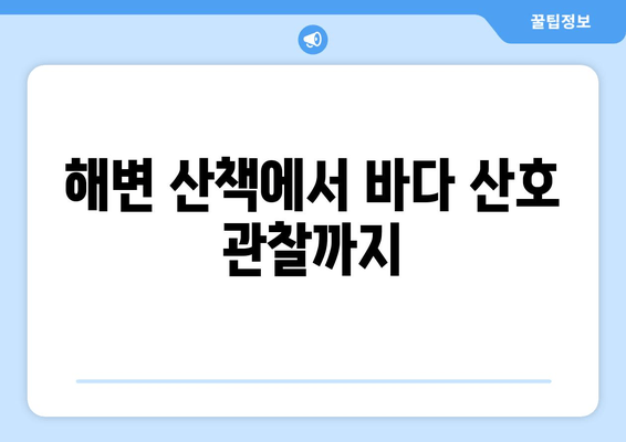 해변 산책에서 바다 산호 관찰까지