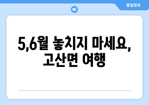 5,6월 놓치지 마세요, 고산면 여행