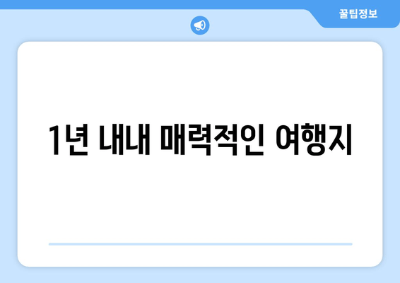 1년 내내 매력적인 여행지