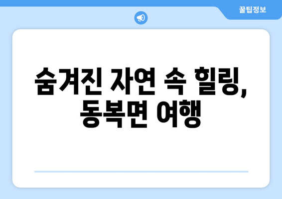 숨겨진 자연 속 힐링, 동복면 여행