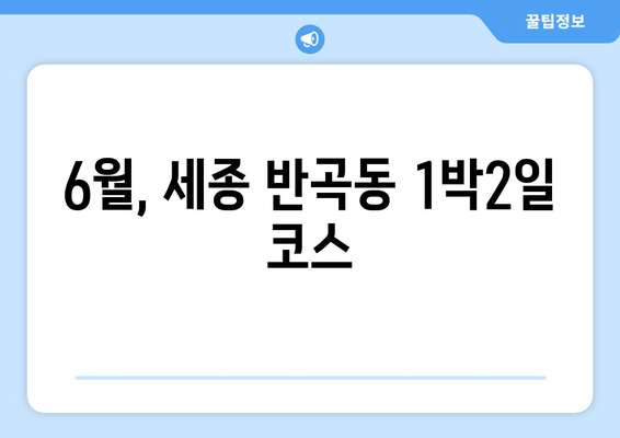 6월, 세종 반곡동 1박2일 코스