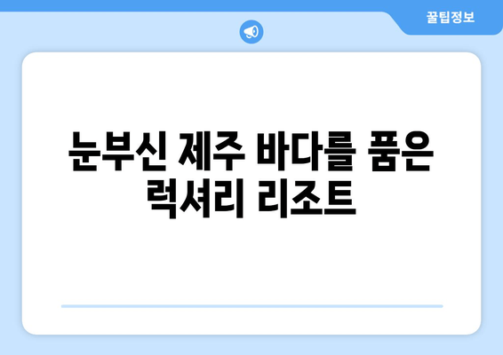 제주도 여행의 설렘을 더하다| 제주 라마다 프라자 호텔 | 제주도, 리조트, 숙소, 호텔