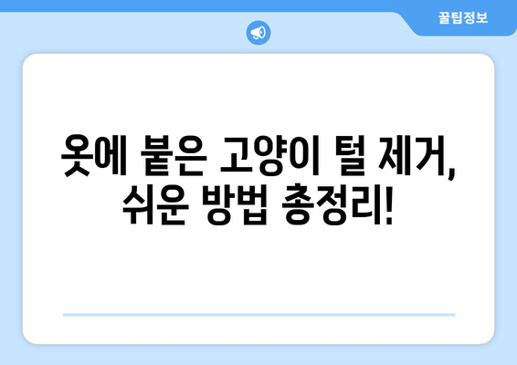 고양이와 빨래, 트위터에서 공유된 꿀팁 모음 | 고양이 털 제거, 빨래 팁, 고양이와 함께하는 삶