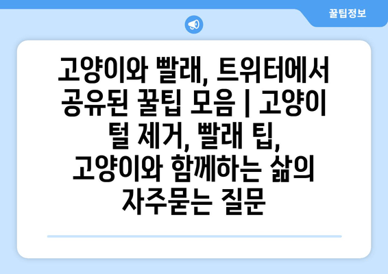 고양이와 빨래, 트위터에서 공유된 꿀팁 모음 | 고양이 털 제거, 빨래 팁, 고양이와 함께하는 삶