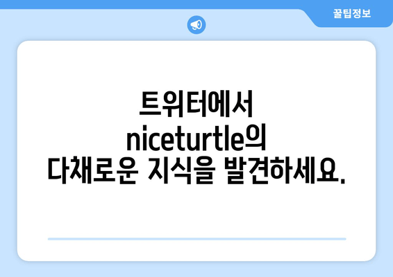 8월 트위터 약속| niceturtle의 풍부한 지식 공유 | 트위터, 8월, niceturtle, 지식 공유, 정보