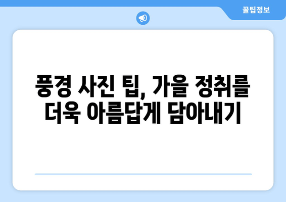 낙엽의 무용이 시작되는 계절, 아름다움을 담는 사진 팁 | 가을, 단풍, 풍경 사진, 촬영 가이드