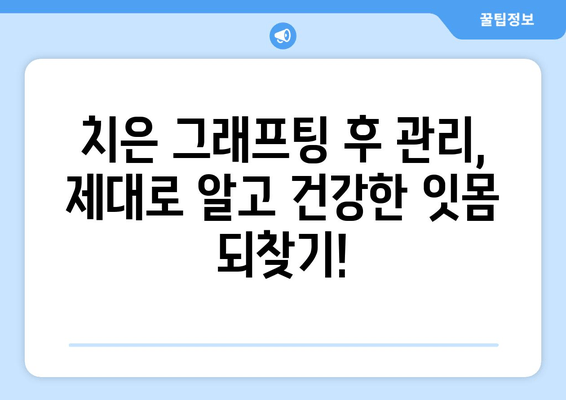 잇몸 내려앉음, 이제 치은 그래프팅으로 해결하세요! | 잇몸 내려앉음 원인, 치료 방법, 치은 그래프팅 과정