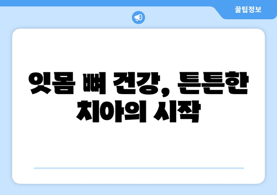 잇몸 뼈 건강을 위한 영양제| 치아 건강에 필수적인 5가지 영양소 | 잇몸 뼈, 치아 건강, 영양제, 건강 정보