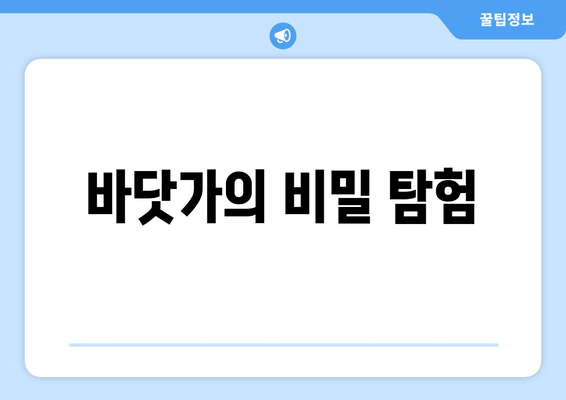 바닷가의 비밀 탐험