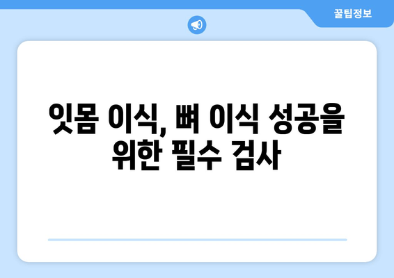잇몸 이식 수술 전, 뼈 상태는 필수 체크! | 잇몸 이식, 뼈 이식, 수술 전 검사, 성공적인 이식