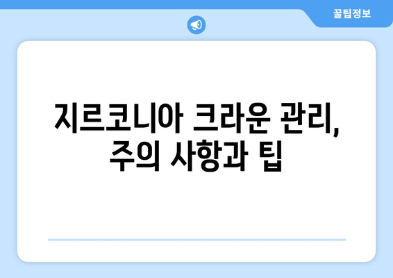 잇몸 성형 및 임시치아 후 지르코니아 크라운 보철 치료| 치유 과정과 주의 사항 | 치과 치료, 보철, 지르코니아, 잇몸 성형, 임시치아