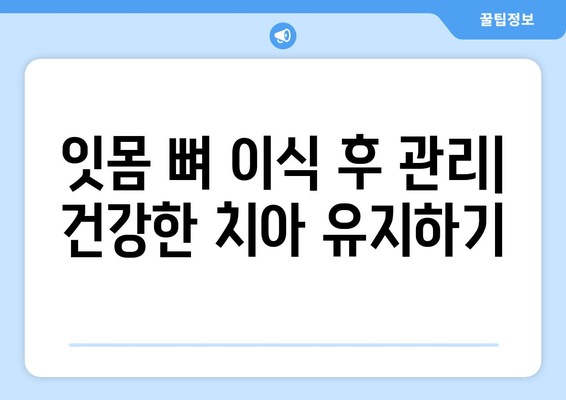 잇몸 뼈 이식| 비용, 수술 절차, 그리고 당신에게 맞는 선택 | 잇몸뼈 이식, 임플란트, 치과, 치료