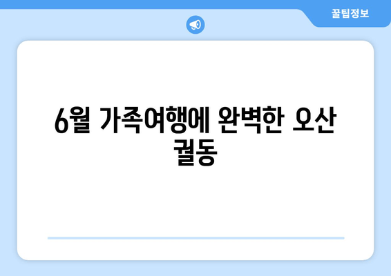 6월 가족여행에 완벽한 오산 궐동