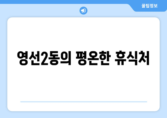 영선2동의 평온한 휴식처