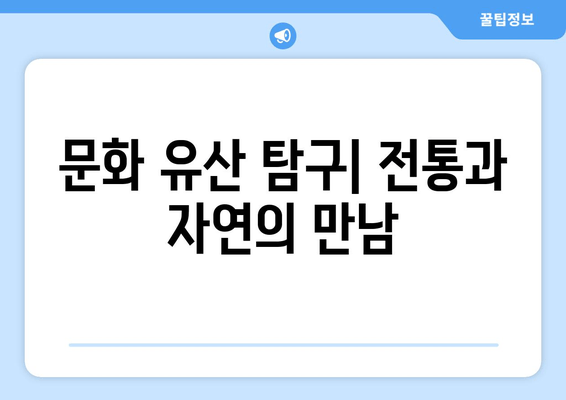 문화 유산 탐구| 전통과 자연의 만남