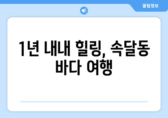 1년 내내 힐링, 속달동 바다 여행