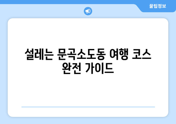 설레는 문곡소도동 여행 코스 완전 가이드