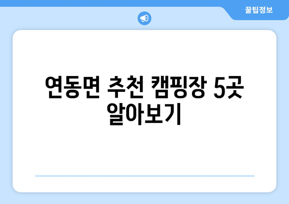 연동면 추천 캠핑장 5곳 알아보기