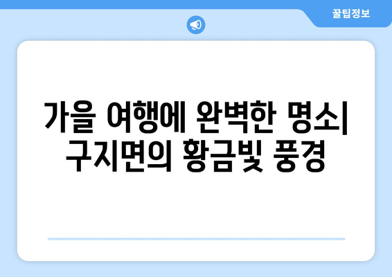 가을 여행에 완벽한 명소| 구지면의 황금빛 풍경