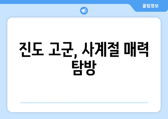 진도 고군, 사계절 매력 탐방