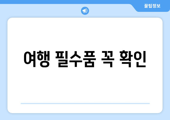 여행 필수품 꼭 확인