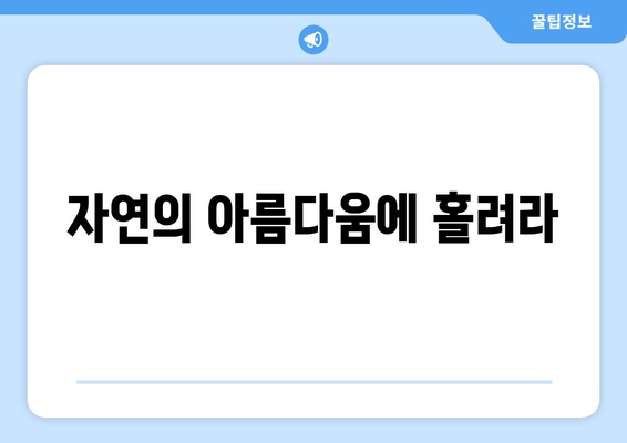 자연의 아름다움에 홀려라