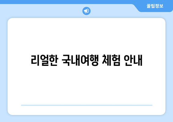 리얼한 국내여행 체험 안내