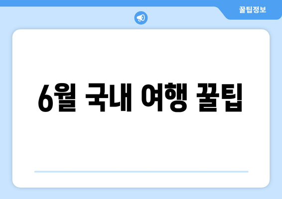 6월 국내 여행 꿀팁