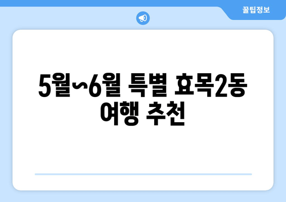 5월~6월 특별 효목2동 여행 추천