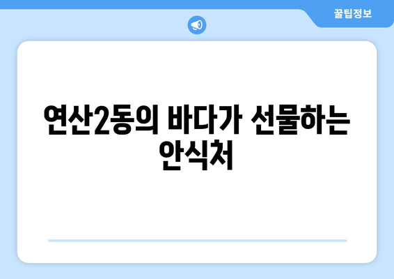 연산2동의 바다가 선물하는 안식처