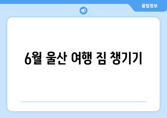 6월 울산 여행 짐 챙기기