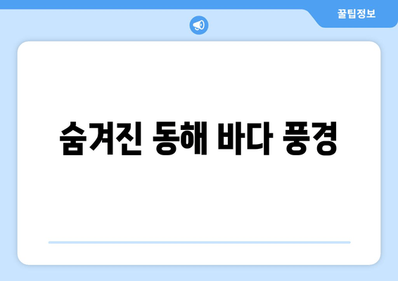 숨겨진 동해 바다 풍경