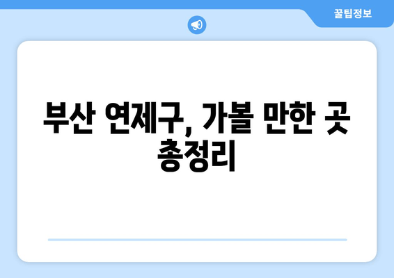 부산 연제구, 가볼 만한 곳 총정리