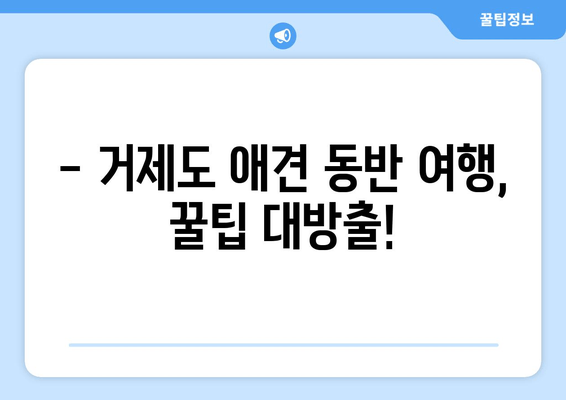 반려견과 함께 떠나는 거제도 여행| 🐶🐾 애견 동반 펜션 추천 & 가이드 | 거제도, 애견펜션, 강아지 여행, 반려동물 숙소