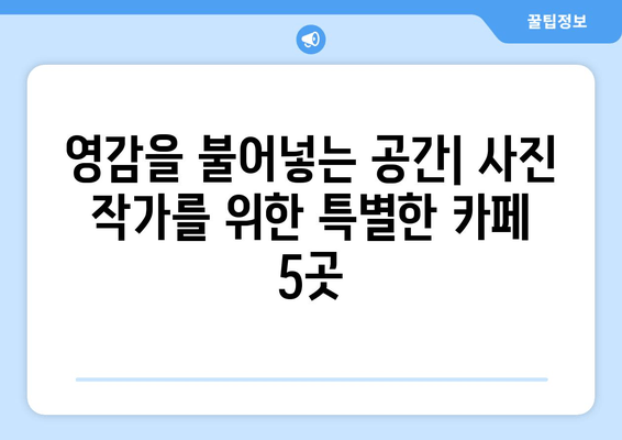 부산 사진작가를 위한 숨겨진 보석 같은 카페 5곳 | 감성 사진 명소, 분위기 좋은 카페, 스튜디오 대여