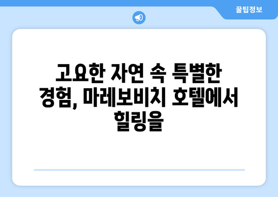 제주도의 고요함과 안락함 속에서 즐기는 특별한 휴식 | 제주 클럽 마레보비치 호텔