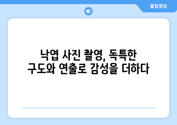 낙엽의 무용이 시작되는 계절, 아름다움을 담는 사진 팁 | 가을, 단풍, 풍경 사진, 촬영 가이드