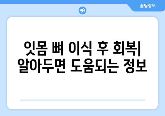 잇몸 뼈 이식 수술| 방법, 유형, 그리고 회복 가이드 | 잇몸 뼈 이식, 임플란트, 치주 질환