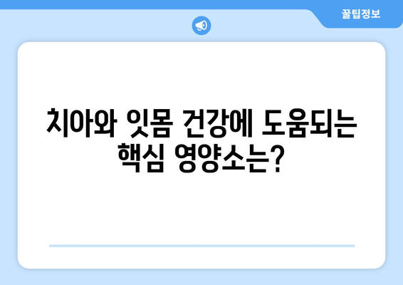 건강한 치아와 잇몸을 위한 영양제| 핵심 성분과 효과적인 선택 가이드 | 치아 건강, 잇몸 건강, 영양제 추천